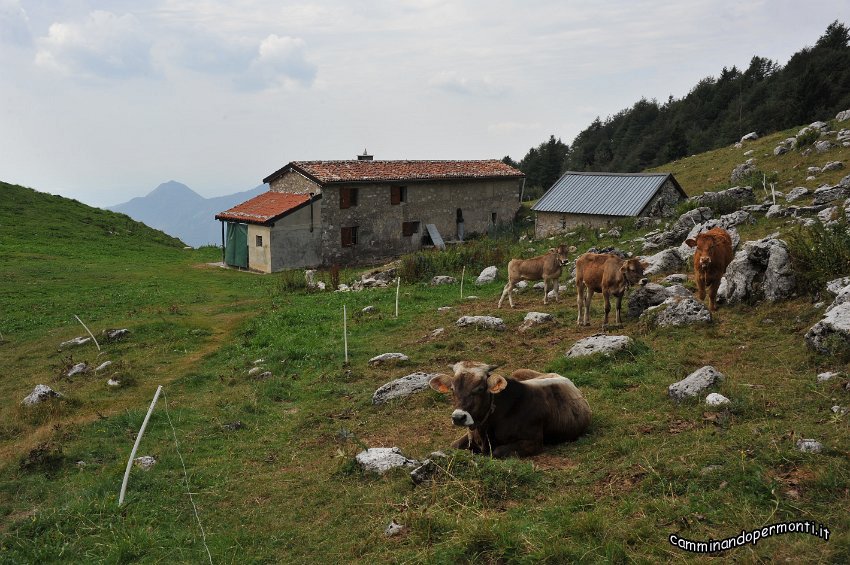 076 Periplo e vetta Monte Alben la Croce.JPG